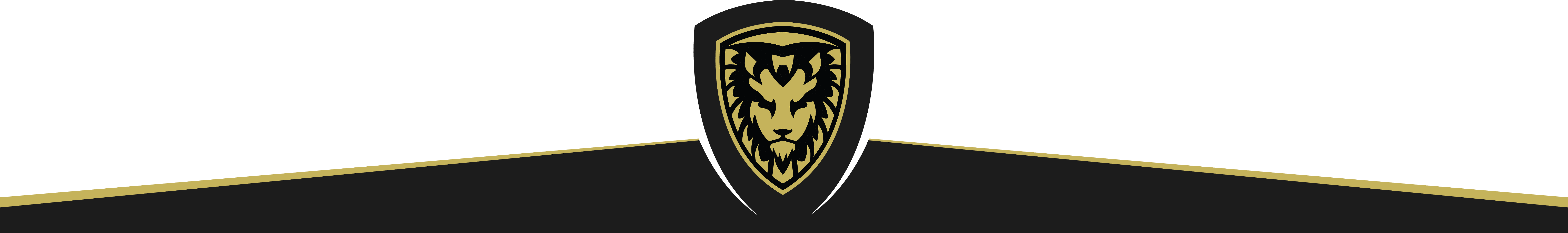 footer banner with the MyGuard logo