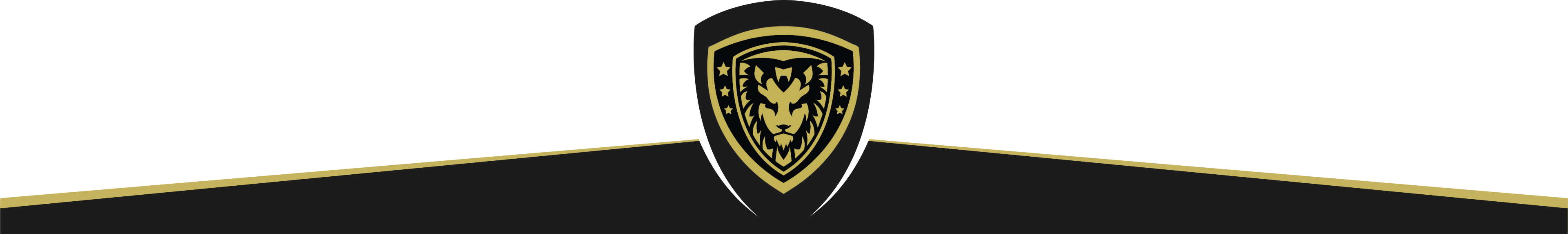 footer banner with the MyGuard logo